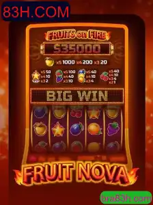 Explorando o Mundo de FruitNova: Um Guia Completo